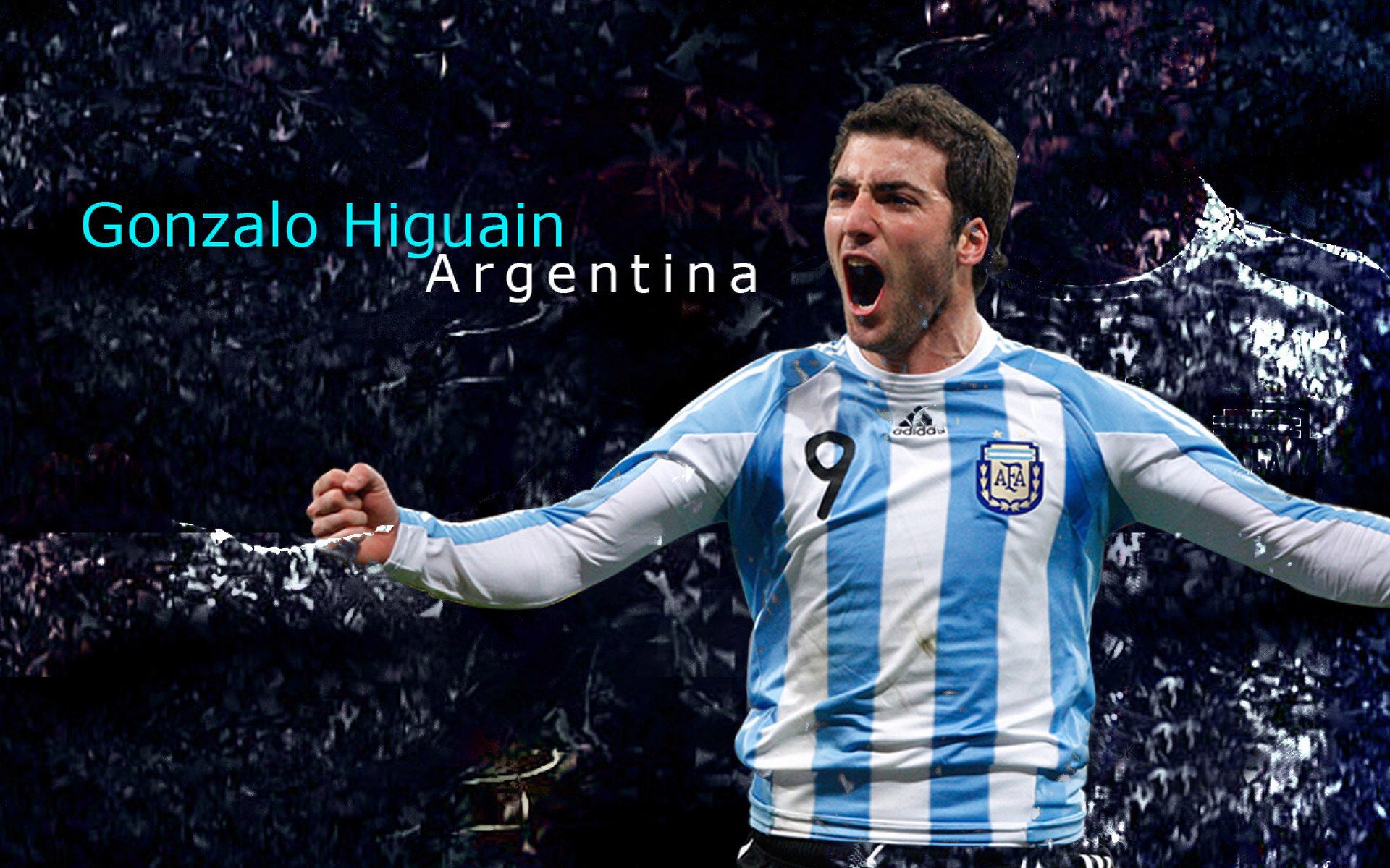 运动员技能发展规划方案,运动员技术能力及其训练