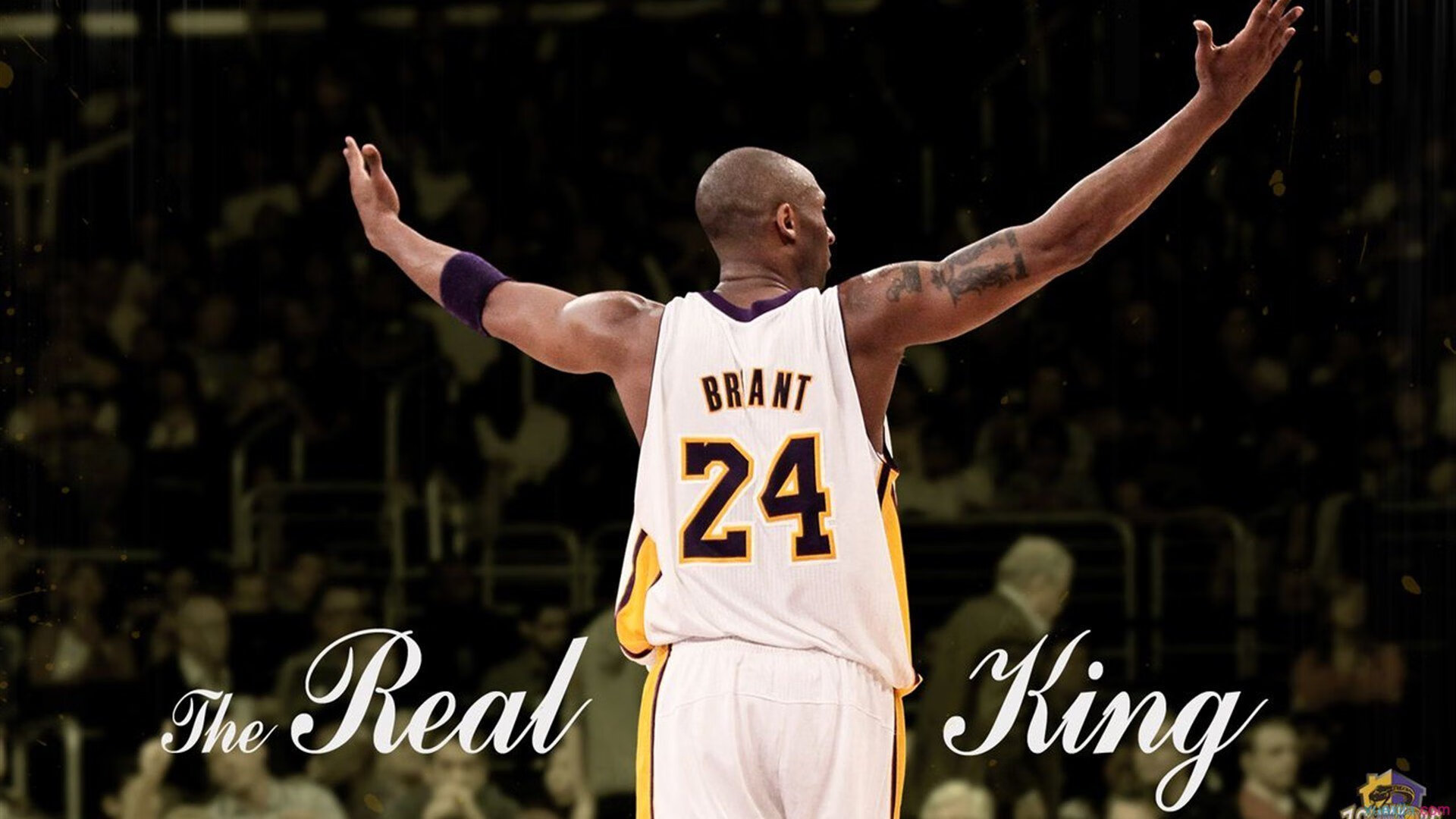 滑板+涂鸦文化节 滑板场地围墙成为创意画布